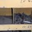 #122-•-nuts-and-bolts-racks-image-40