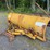 11'-power-angle-snow-plow-image-3