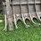 #226-•-rockland-root-rake-image-4