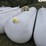 #2839-•-lang-1000-gallon-lp-tank-image-1