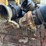 crate-of-12"-water-pipe-fittings-image-3