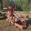 #2794-•-morbark-hydraulic-stac-trac-image-2