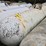 #2843-•-beaird-1000-gallon-lp-tank-image-1