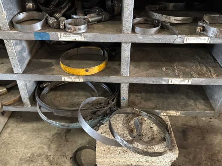 #124-•-various-size-hose-clamps-and-divider-bin-image-3