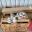 (2)-pallets-of-miscellaneous-electrical-equipment,-glass-jars,-safety-data-sheets,-etc.-image-4