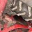 troy-bilt-horse-image-7