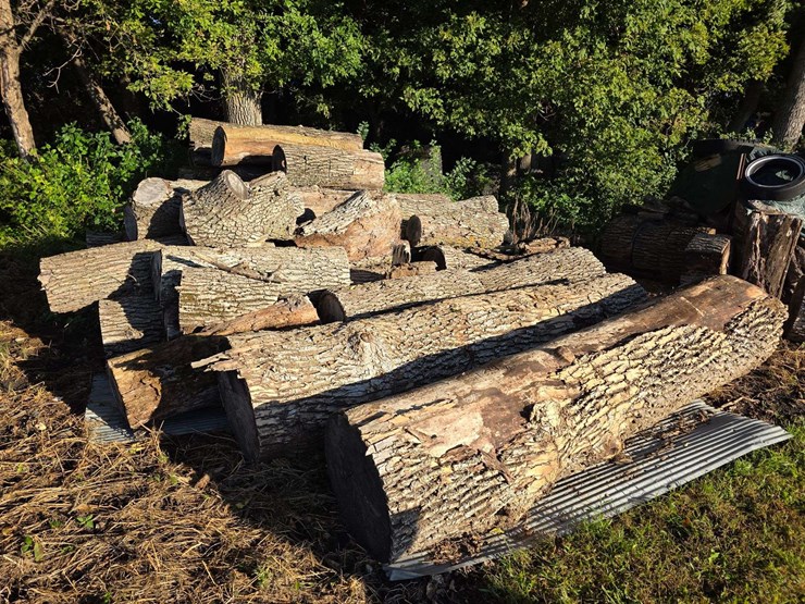 pile-of-wood,-mostly-ash,-has-been-down-approx-10-years,-ready-to-cut-and-burn-image-2