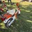 1980-suzuki-50cc-motorbike/moped-for-restoration,-does-not-run,-*no-title-image-4
