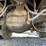 2000-kenworth-t800-image-28