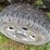 2006-ford-f150-xlt-image-21