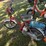 1981-honda-50cc-express-motor-bike-moped-for-restoration,-does-not-run,-mostly-complete-per-seller,-image-4