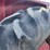 massey-ferguson-165-image-52
