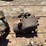 carburetor-assortment-image-4