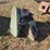 #2772-•-hopper-parts-image-2