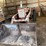 1965-farmall-656-tractor,-open-station,-gas,-nf,-fenders,-15.5-38-rears,-(3)-pair-of-rear-wheel-weig-image-2