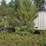 #2591-•-approx.-45'-van-trailer-image-2