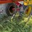 bourgault-8810-image-14