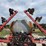 case-ih-2800-image-13