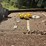 mirro-craft-boat,-motor-and-trailer,-65hp-evinrude-engine,-aluminum-boat,-has-been-stored-for-approx-image-11