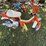 1980-suzuki-50cc-motorbike/moped-for-restoration,-does-not-run,-*no-title-image-3