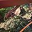 ih-720-–-5-bottom-20”-semi-mount-plow,-auto-reset,-all-wear-parts-are-good,-missing-one-coulter,-use-image-7