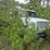 #2583-•-propane-truck-image-2