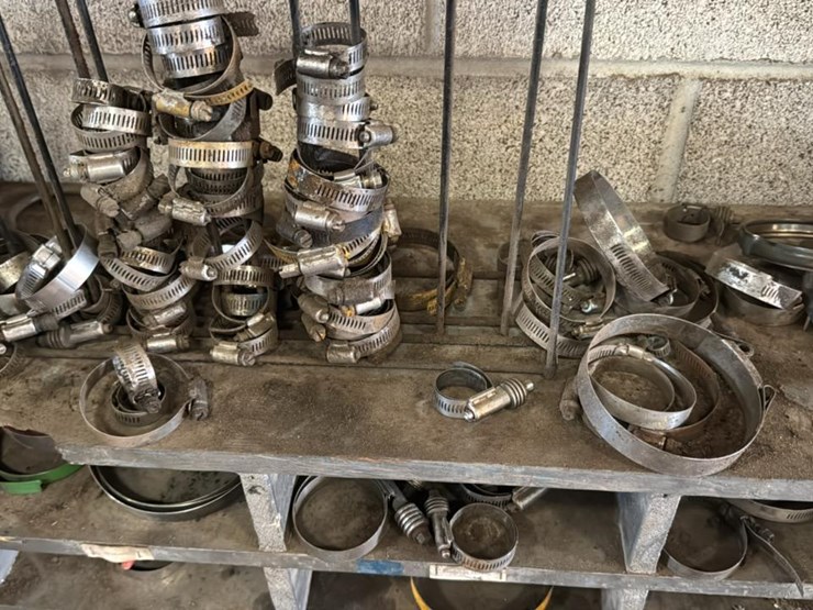 #124-•-various-size-hose-clamps-and-divider-bin-image-2