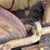 caterpillar-d4d-image-27