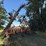 bourgault-8810-image-10