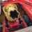 #5020-•-2019-seppi-star-fc100-mulcher-image-21