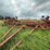 wilrich-cultivator-image-3