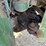 john-deere-8450-image-15