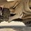 2006-ford-f450-xl-image-45