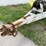 willmar-500-image-8