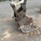 2005-takeuchi-tb175-image-13
