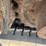 2014-caterpillar-303.5e-cr-image-23