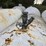 #2842-•-perfection-750-gallon-lp-tank-image-2
