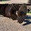 john-deere-12-image-13