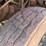 #1414-•-1986-international-1654-straight-truck-image-37
