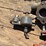 carburetor-assortment-image-2