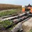 timber-king-1220-image-6