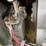 2010-bobcat-s175-image-28