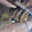 caterpillar-d4d-image-7