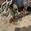 #1089-•-mobile-office-trailer-image-25
