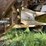 willmar-500-image-19