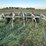 glencoe-soil-saver-image-8