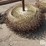 56"-wheel-rake-wheels-image-3