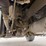 1995-ford-l9000-image-76