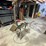 shop-master-fan-saw,-new-blade,-64”-long-blade,-working-order-per-seller-image-5
