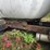 #2592-•-propane-truck-image-13